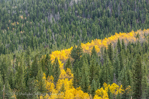 20141008_byShellyAu_6018