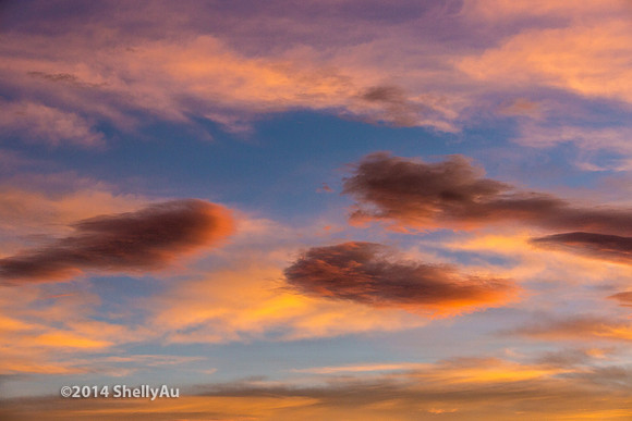 20141101_byShellyAu_6559