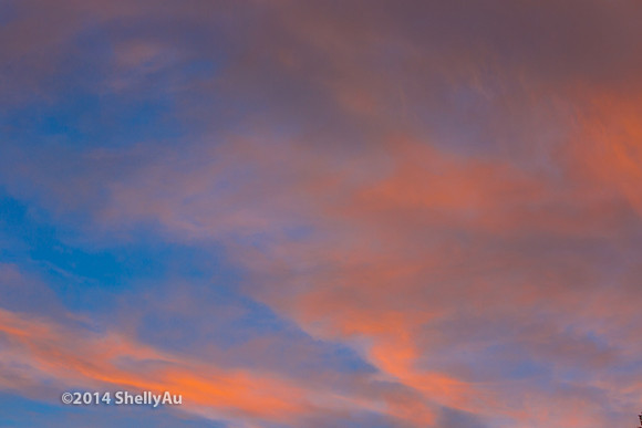 20141006_byShellyAu_5972