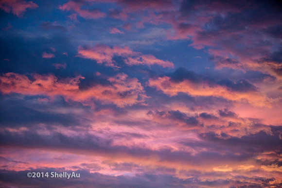 20141024_byShellyAu_6271