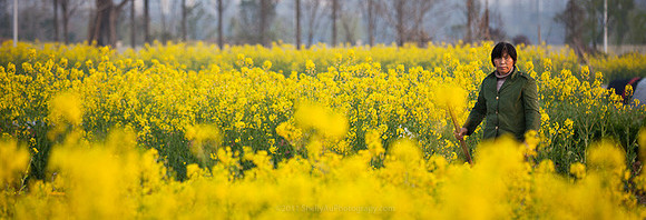 Farmer in Xianlin_5322