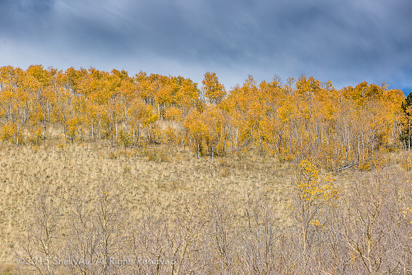 20141008_byShellyAu_5983