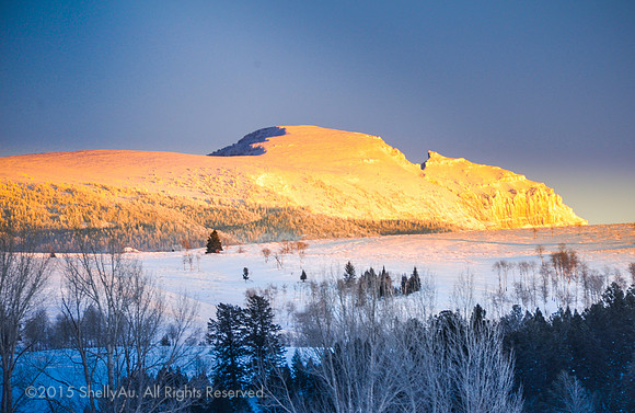 20090103_byShellyAu_4631