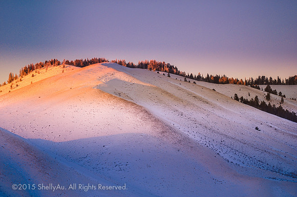 20090103_byShellyAu_4595