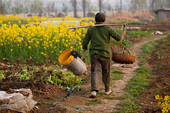 Farmer's Journey_5323