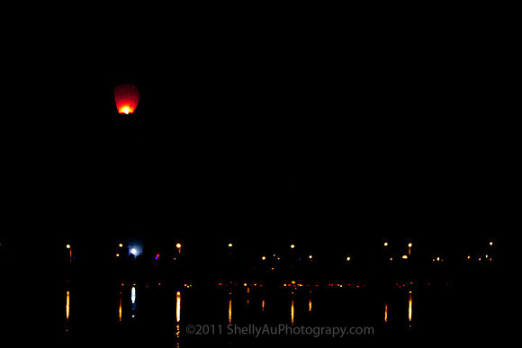 Chinese Lantern_6288