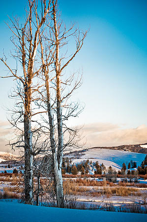 byShellyAu_4597