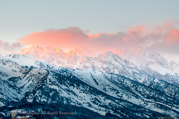 20090103_byShellyAu_4753
