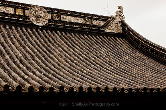 Chinese Roof Top_6303