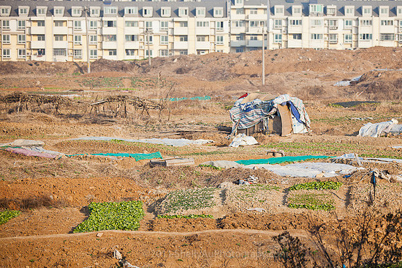 Farm Housing_7763